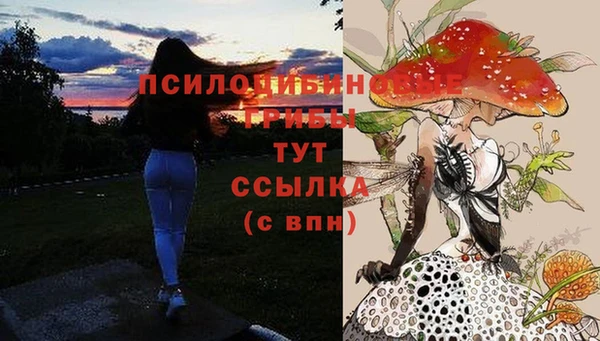 а пвп мука Абаза