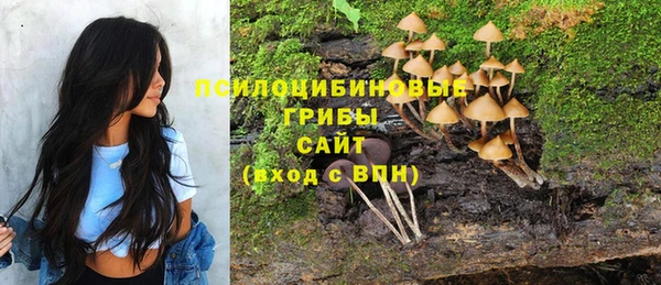 PSILOCYBIN Нея