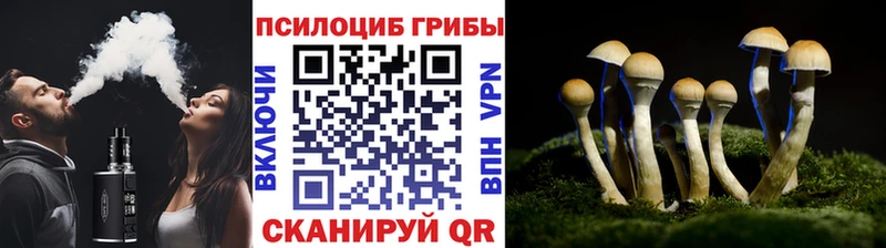 Псилоцибиновые грибы мухоморы Усть-Катав