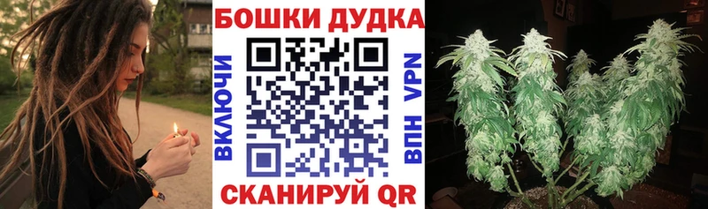 Бошки Шишки семена  Усть-Катав 